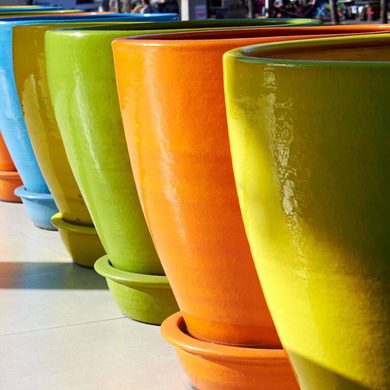 Interior Flowering Plants, Foliage Plants & Plant Containers