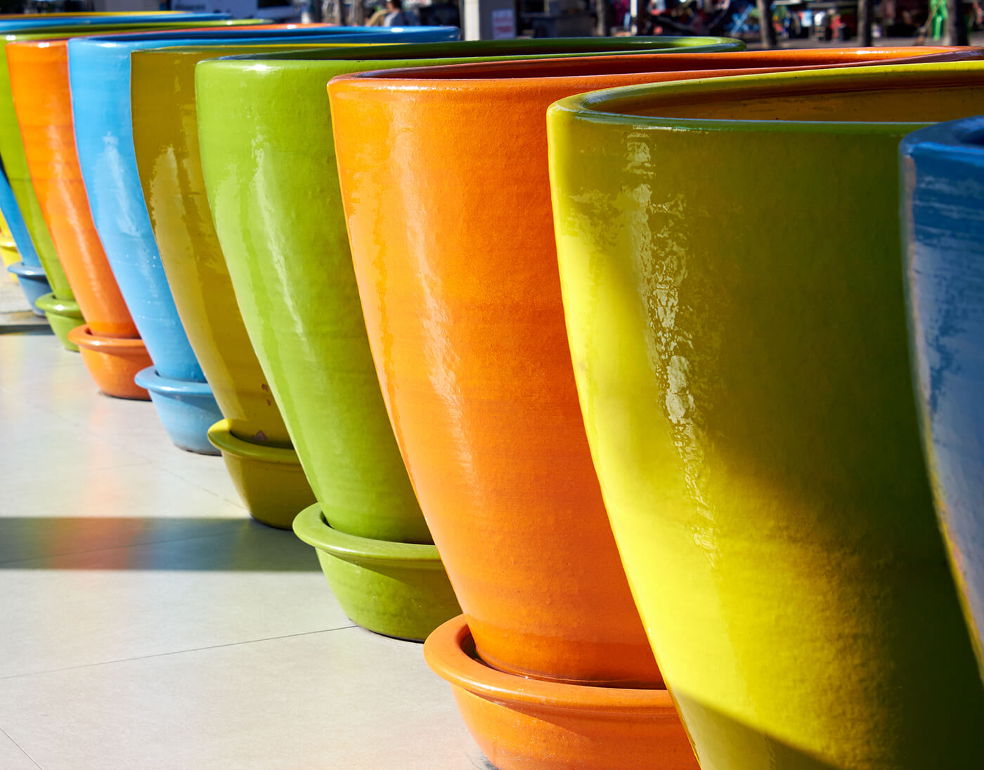 Event Plant Rentals